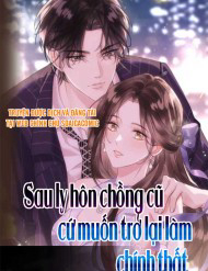 Sau Ly Hôn Chồng Cũ Cứ Muốn Trở Lại Làm Chính Thất